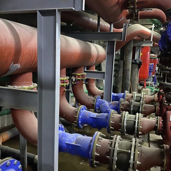 WhatsApp Image 2024-03-12 at 11.09.31 AM